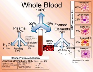 whole blood